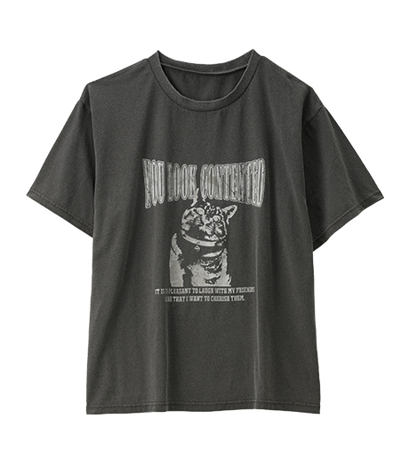 【大きなサイズ】レディースＴシャツサイズ：3L・4L商品番号：07-021-800-41～46