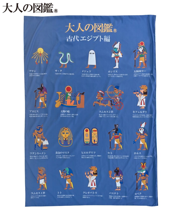 【大人の図鑑】掛布団カバーサイズ：シングルロング商品番号：81-571-640-21