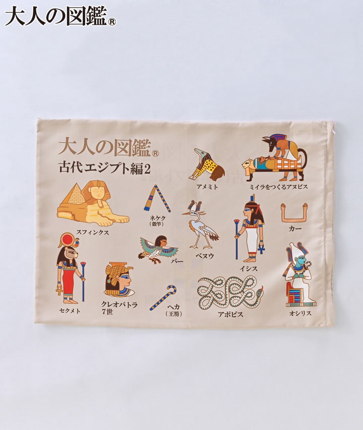 【大人の図鑑】枕カバーサイズ：４３×６３㎝商品番号：81-592-640-41