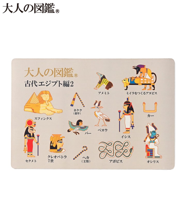 【大人の図鑑】(珪藻土パウダー入り)バスマットサイズ：４０×６０㎝商品番号：84-572-032-01